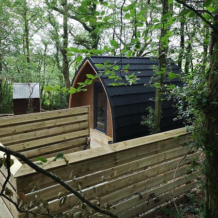 The Pod-Hot Tub-Woodland Lodges-St Clears-Carmarthen Kültér fotó