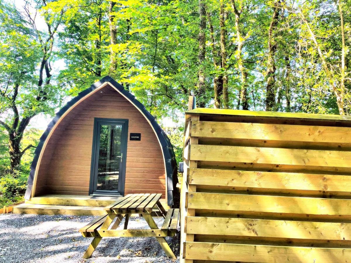 The Pod-Hot Tub-Woodland Lodges-St Clears-Carmarthen Kültér fotó